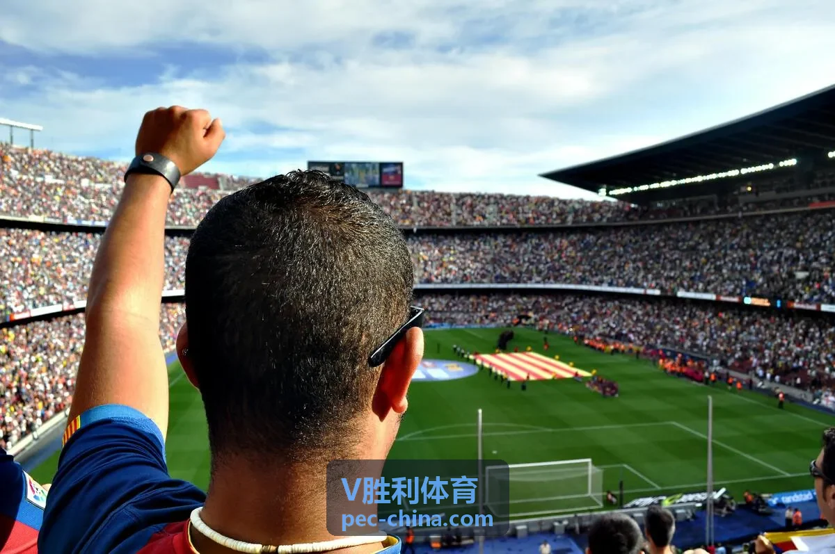V胜利体育 训练进程规划专题封面图